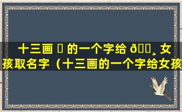 十三画 ☘ 的一个字给 🌸 女孩取名字（十三画的一个字给女孩取名字有哪些）